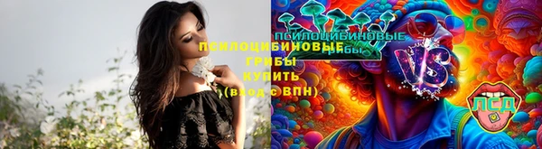 соль ск Волосово