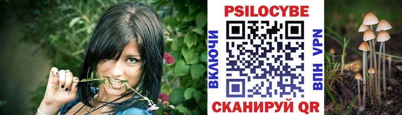 Купить  Обоянь  Галлюциногенные грибы Psilocybe 